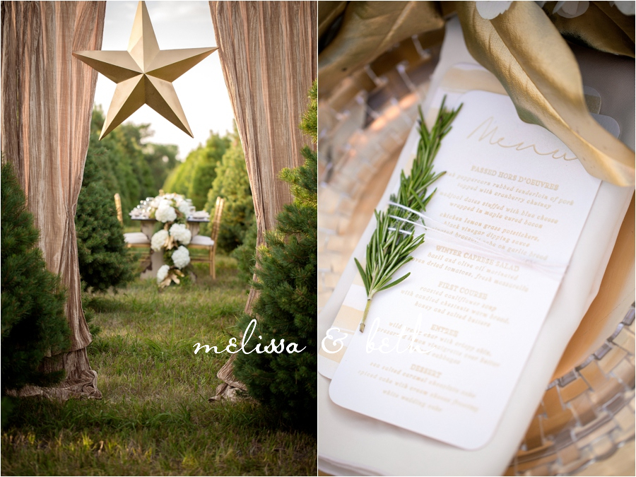 002christmastreefarm016_WEB