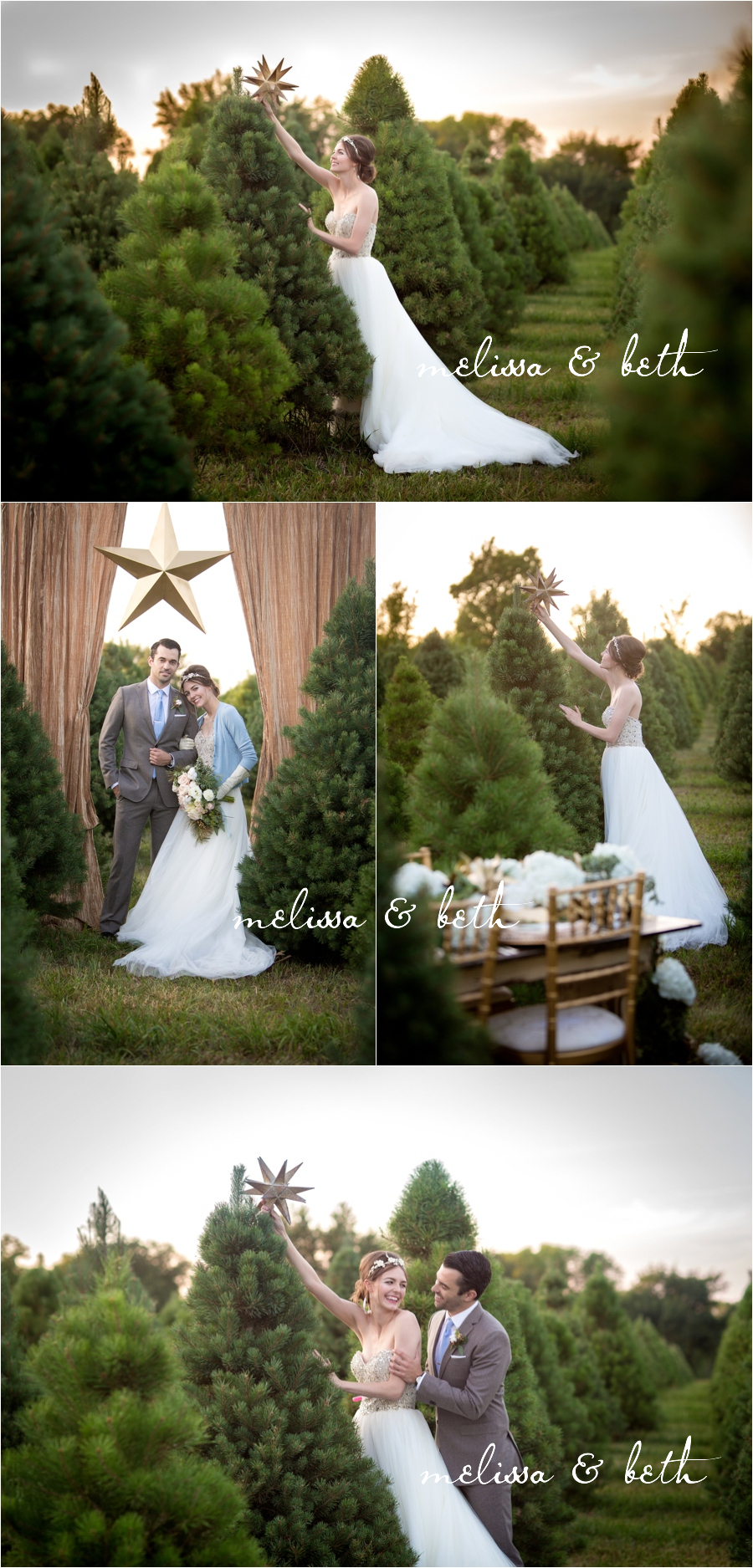 015christmastreefarm058_WEB